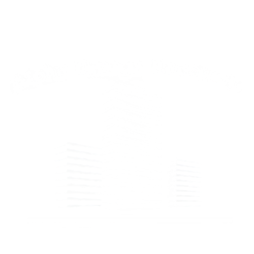 Alpha Omega Recovery